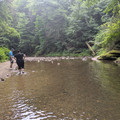Bushkill Creek-202607052.jpg