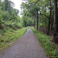 Sobers Run Loop Trail.jpg