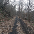 Old Musconetcong branch.jpg