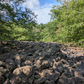 Boulder field.jpg
