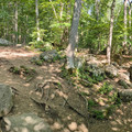 High Falls Creek panorama.jpg